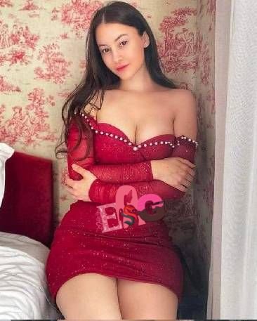 meena classic escort service ahmedabad